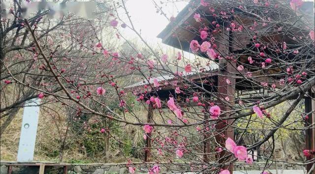 阿尔巴尼亚超级联賽
_太突然!武汉正大量出现阿尔巴尼亚超级联賽
,不用等到春节